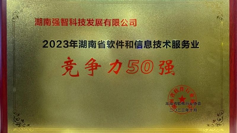小标题：驻场服务的重要性